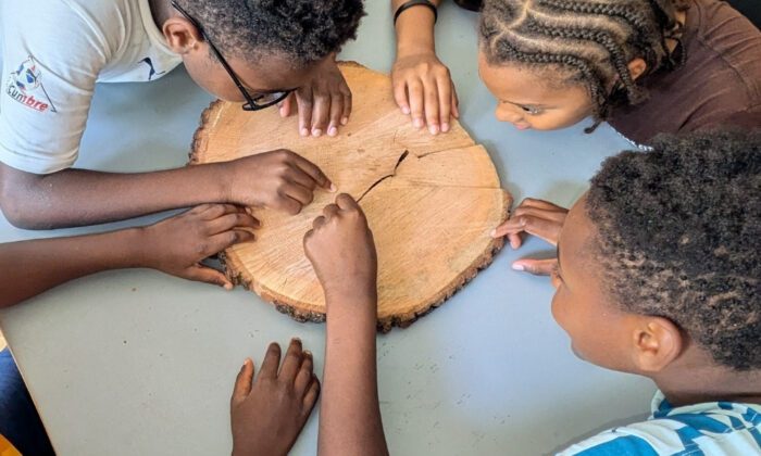 Four kids sit at a table looking at the rings of a cut piece of tree trunk.