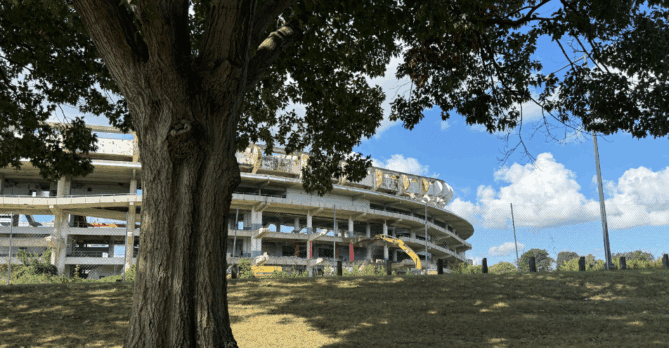 RFK stadium is being demolished as a mature tree stands in the foreground
