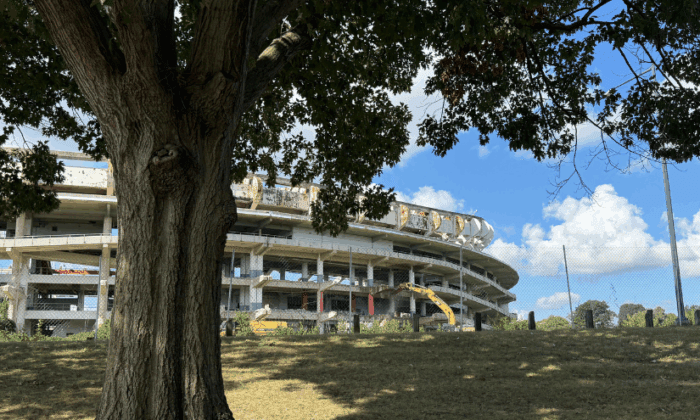 RFK stadium is being demolished as a mature tree stands in the foreground