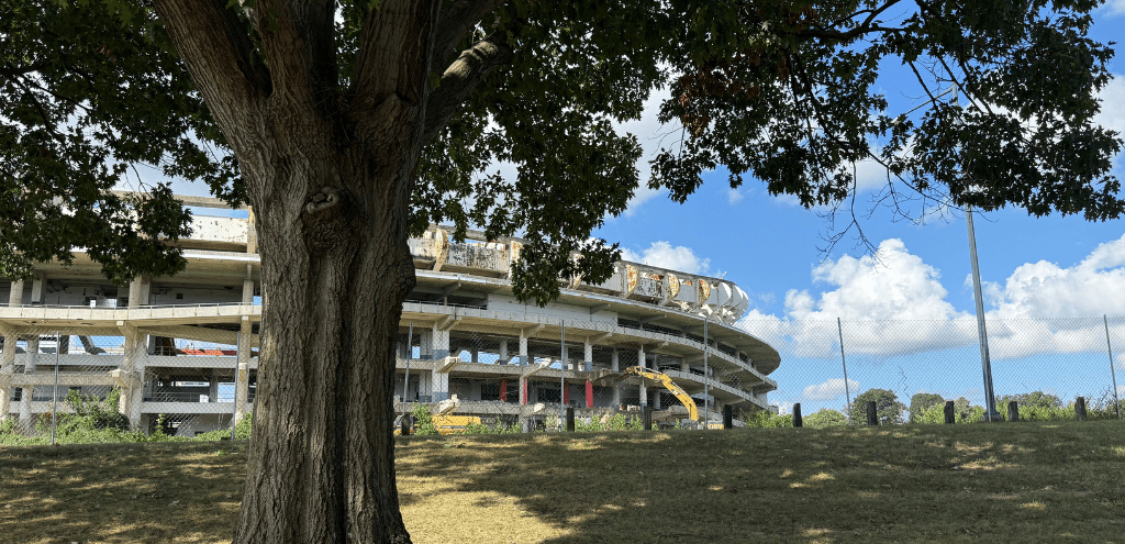 RFK stadium is being demolished as a mature tree stands in the foreground