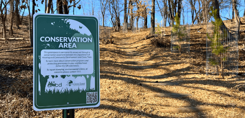 A large sign labels a forested area in the background as a Conservation Area