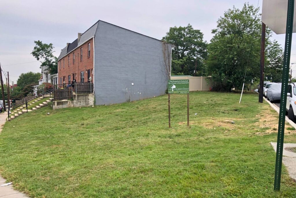 A grassy corner lot on Morris Road before trees were planted there in spring 2025