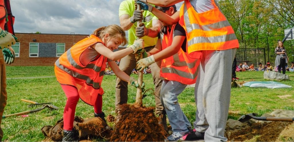 A group of children and an adult plant a tree on a school campus