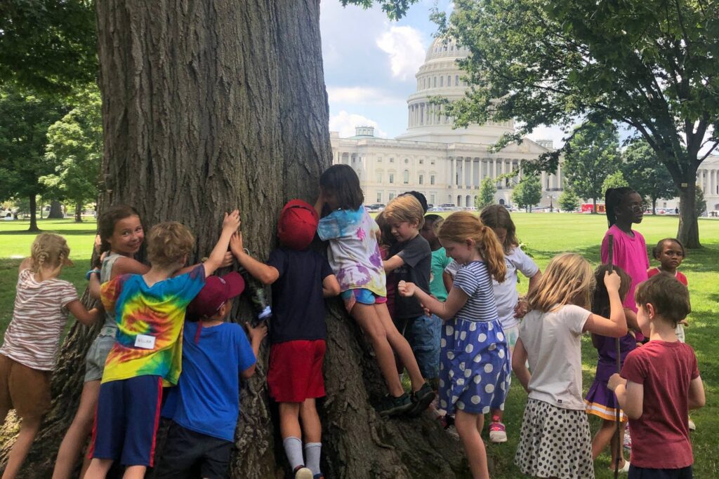 A group of young kids hug a large tree on the National Mall, with the US Capitol Building visible in the background.