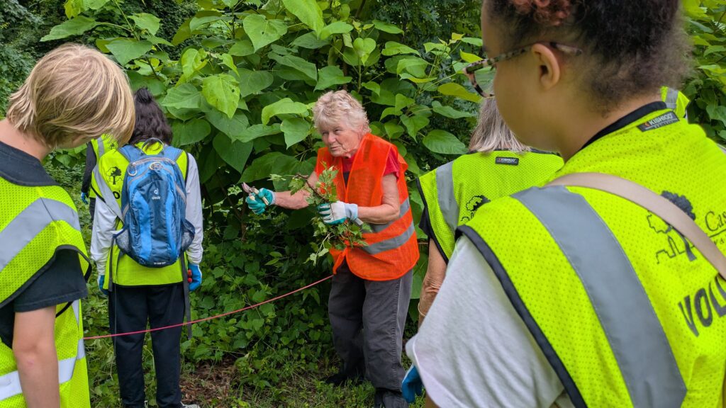 Langdon Park Forest Patch