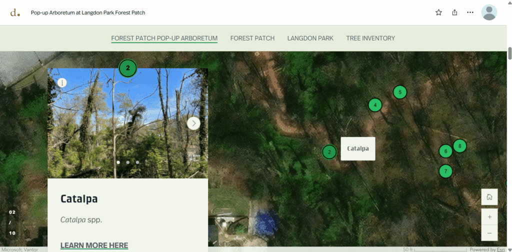 DDOT Langdon Pop Up Arboretum Screenshot