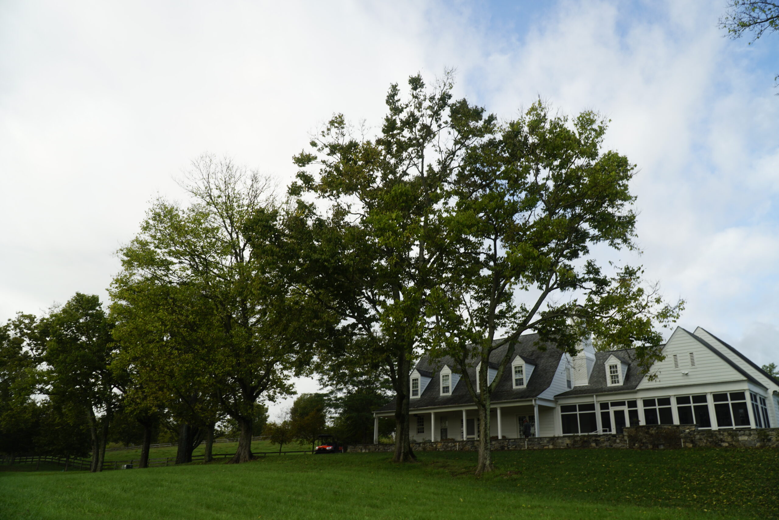 A white cottage with trees