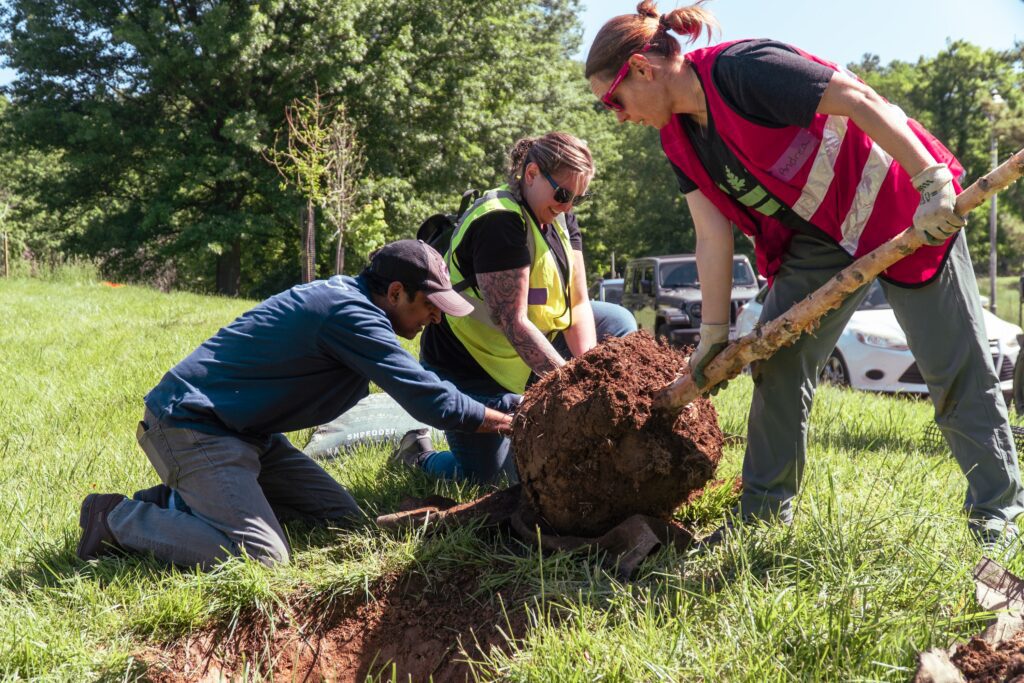 A group of people planting a tree