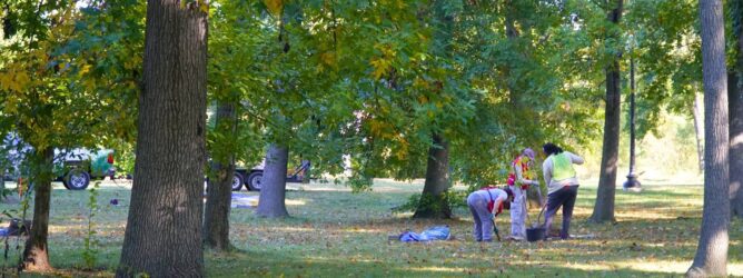 Volunteers planting a tree.