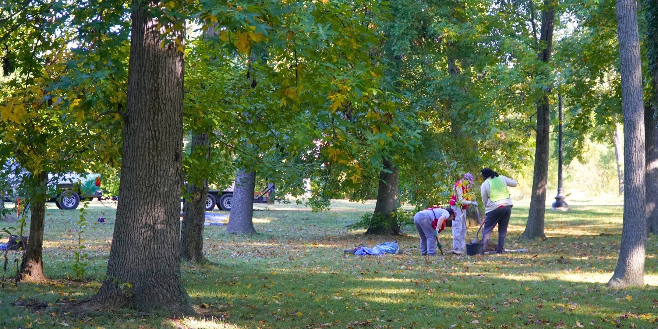 Volunteers planting a tree.