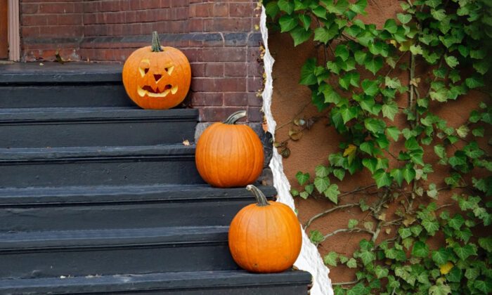 A collage of three pumpkins and an invasive vine.