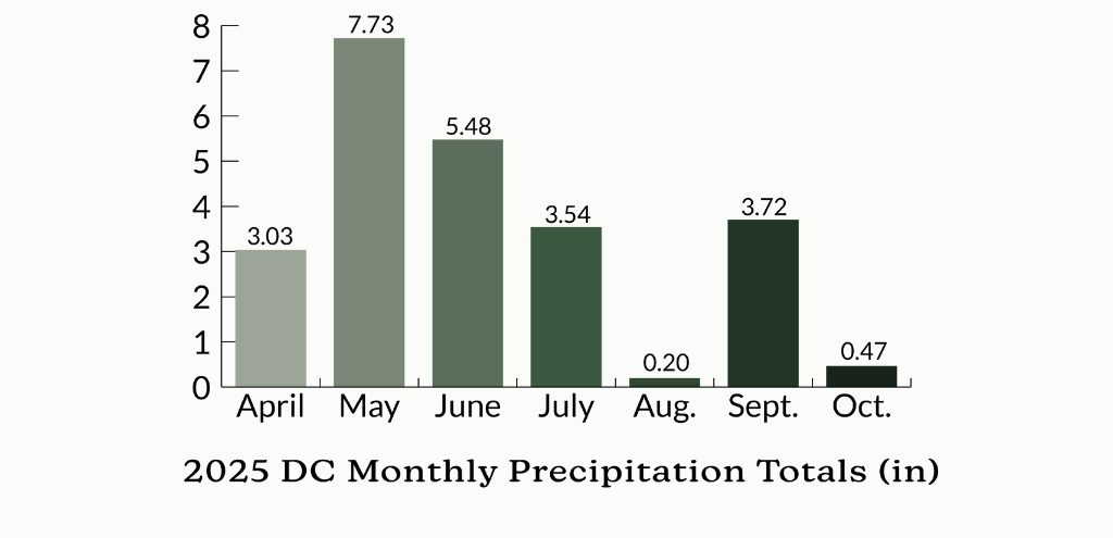 A chart showing the monthly precipitation totals in inches in Washington, DC, from April to October 2025. Totals are calculated from precipitation readings at Ronald Reagan National Airport.