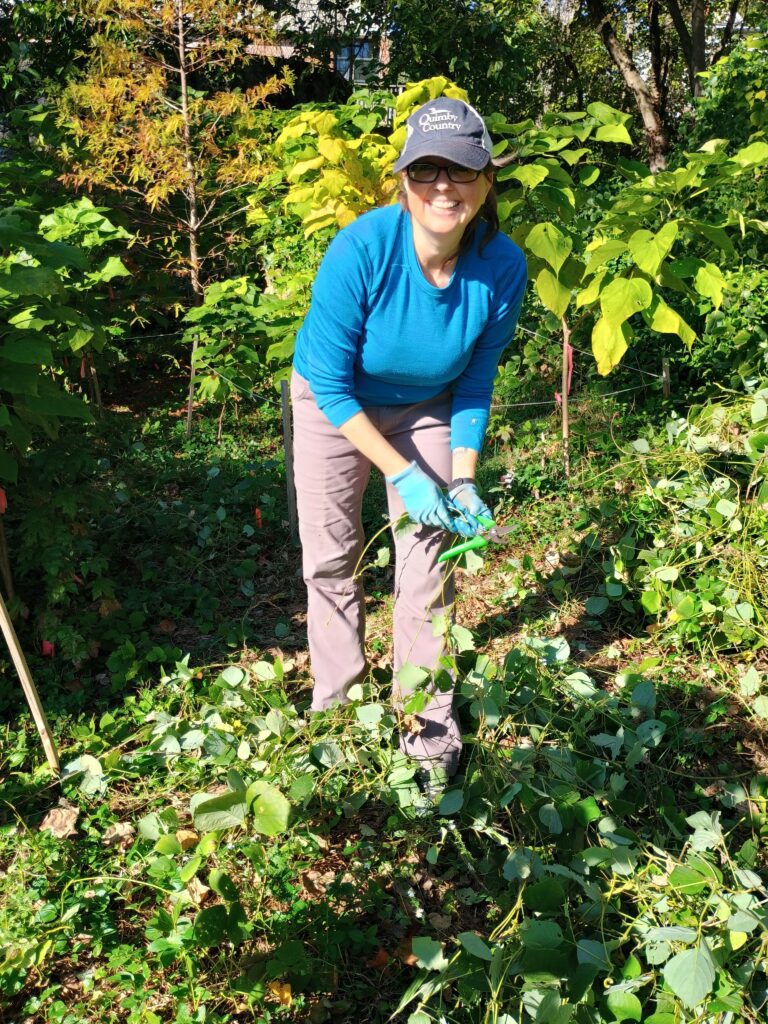 A woman smiling pulling invasive vines