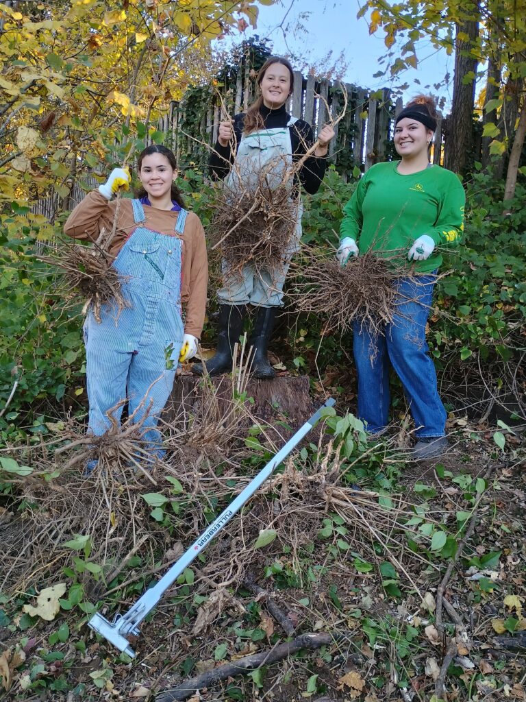 A group volunteering in the forest patch