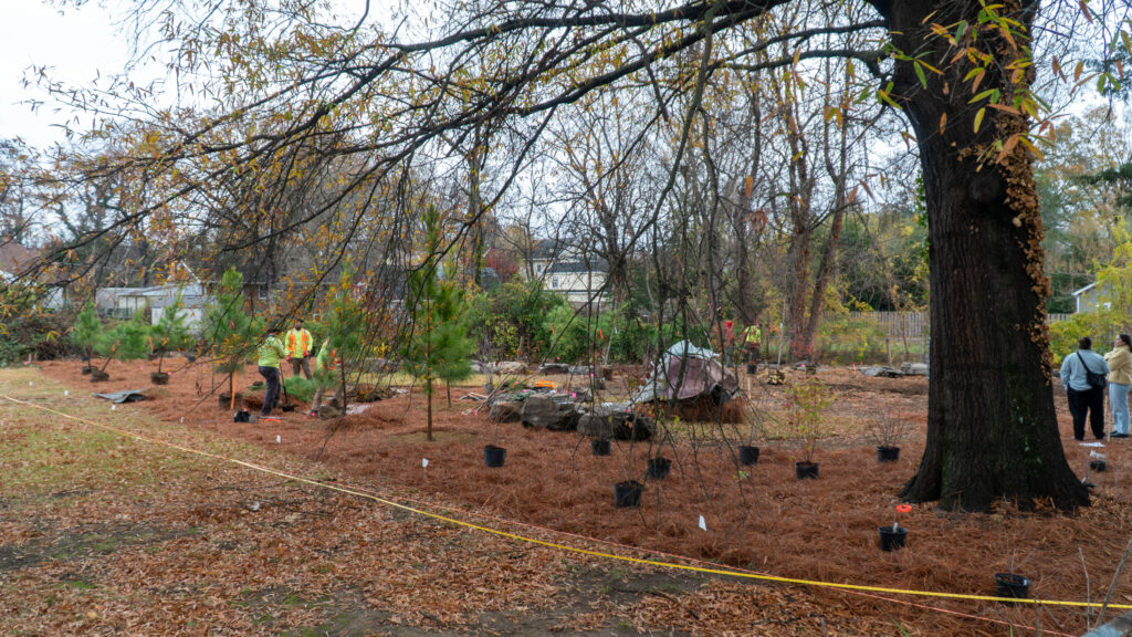 View of Conservation Site