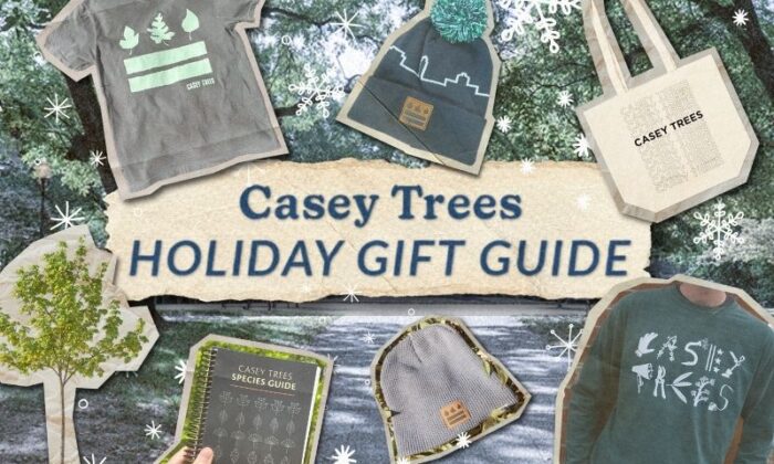 A collage that says "Casey Trees Holiday Gift Guide," featuring the items listed on the guide.