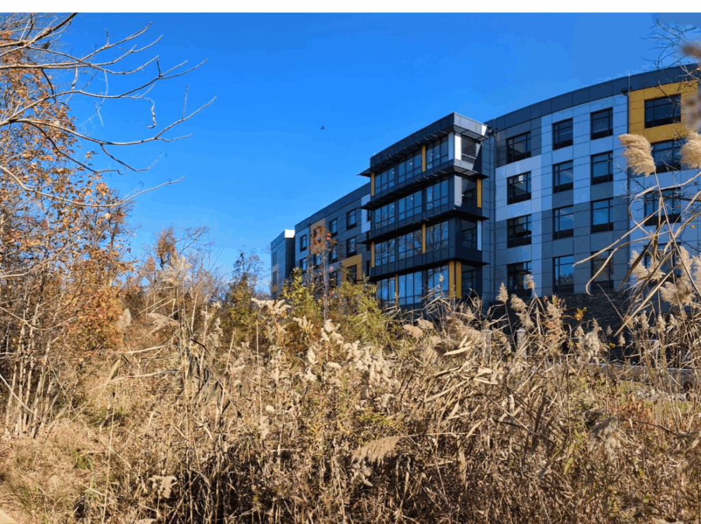 A building a forested area