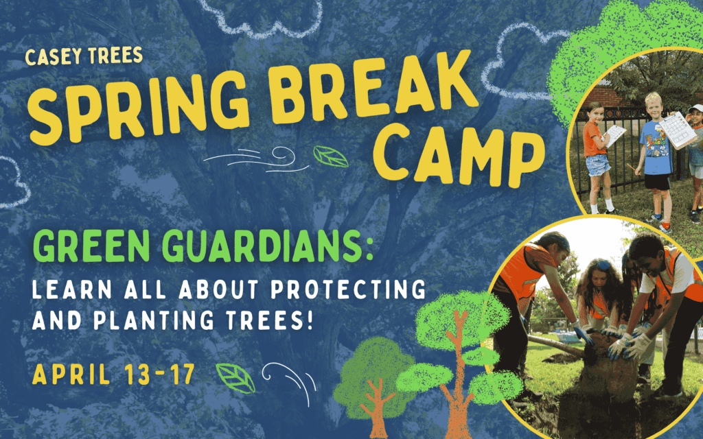Spring Break Camp: Green Guardians.