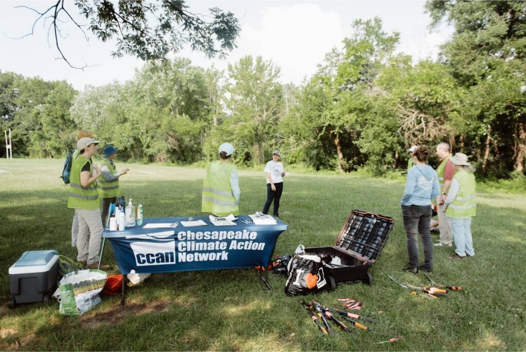Volunteers gather for an invasive vine removal.