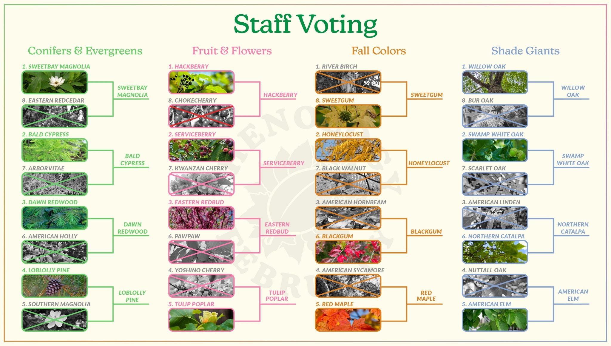 Staff voting.