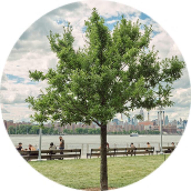 Reduce Noise Pollution