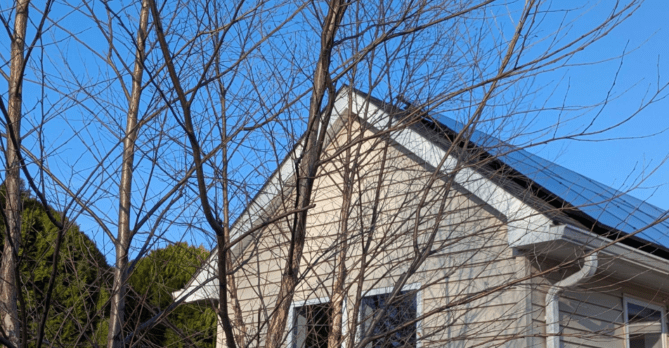 Trees around a home with solar panels