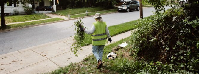 A volunteer walks with vines in their hand.