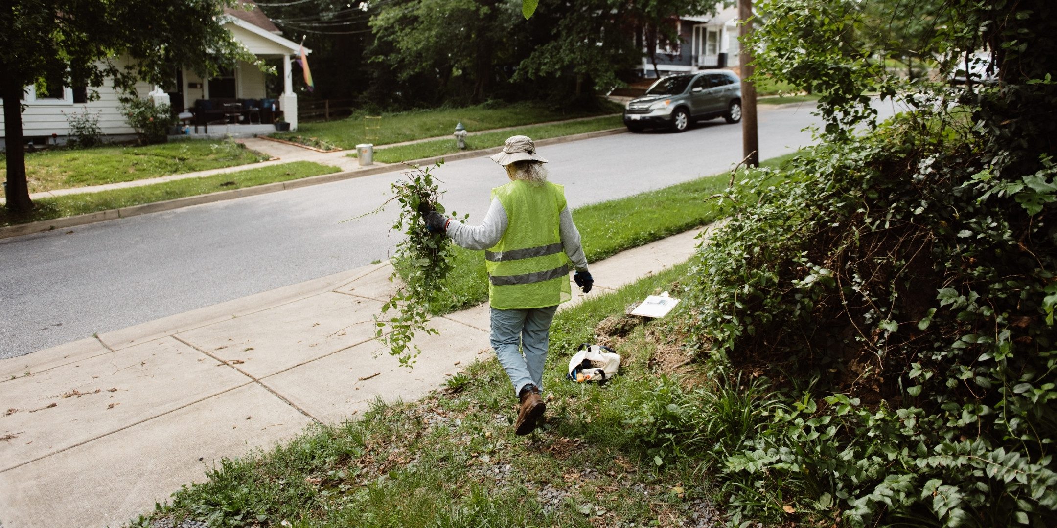 A volunteer walks with vines in their hand.