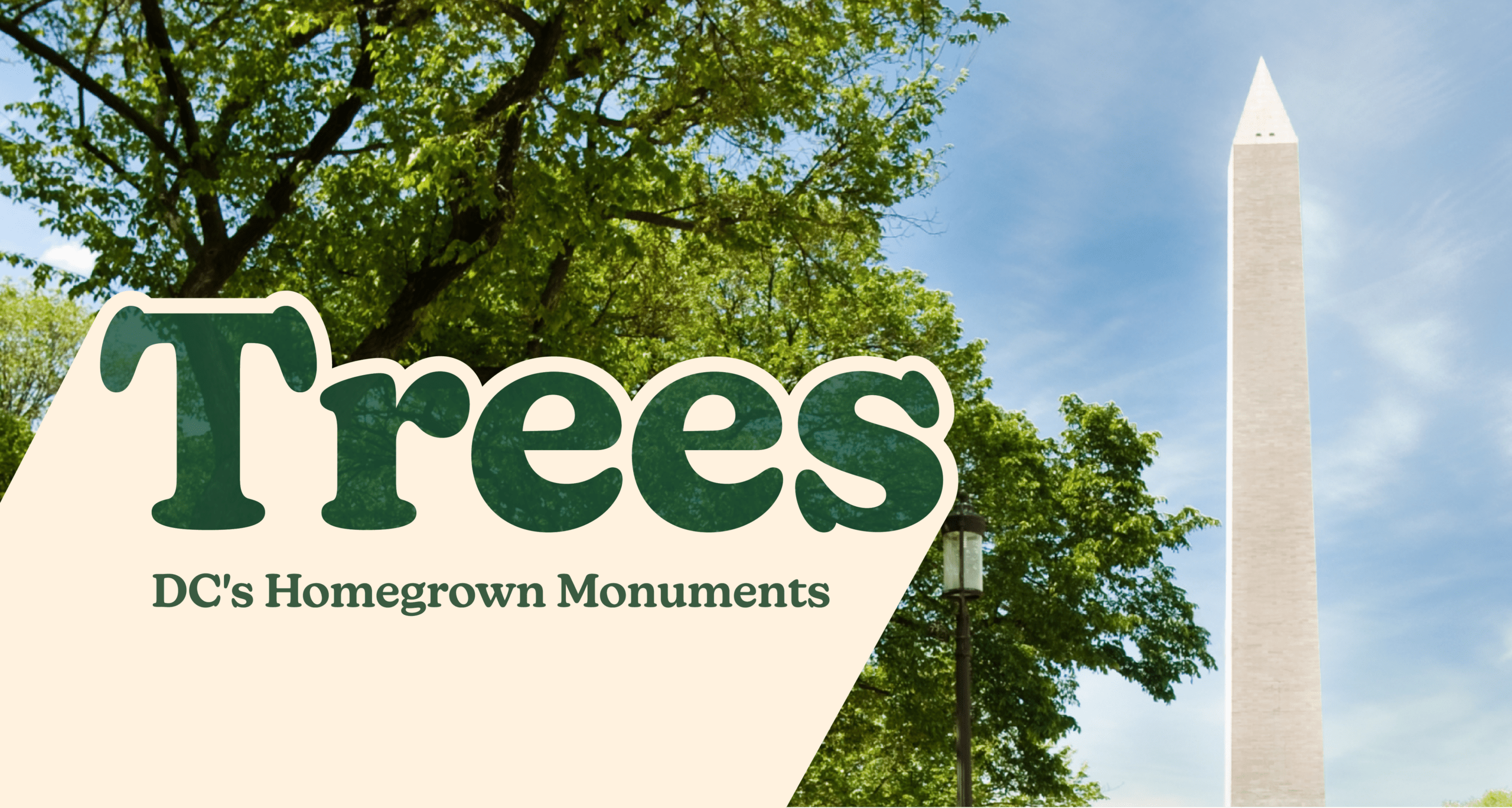 City of Trees Header