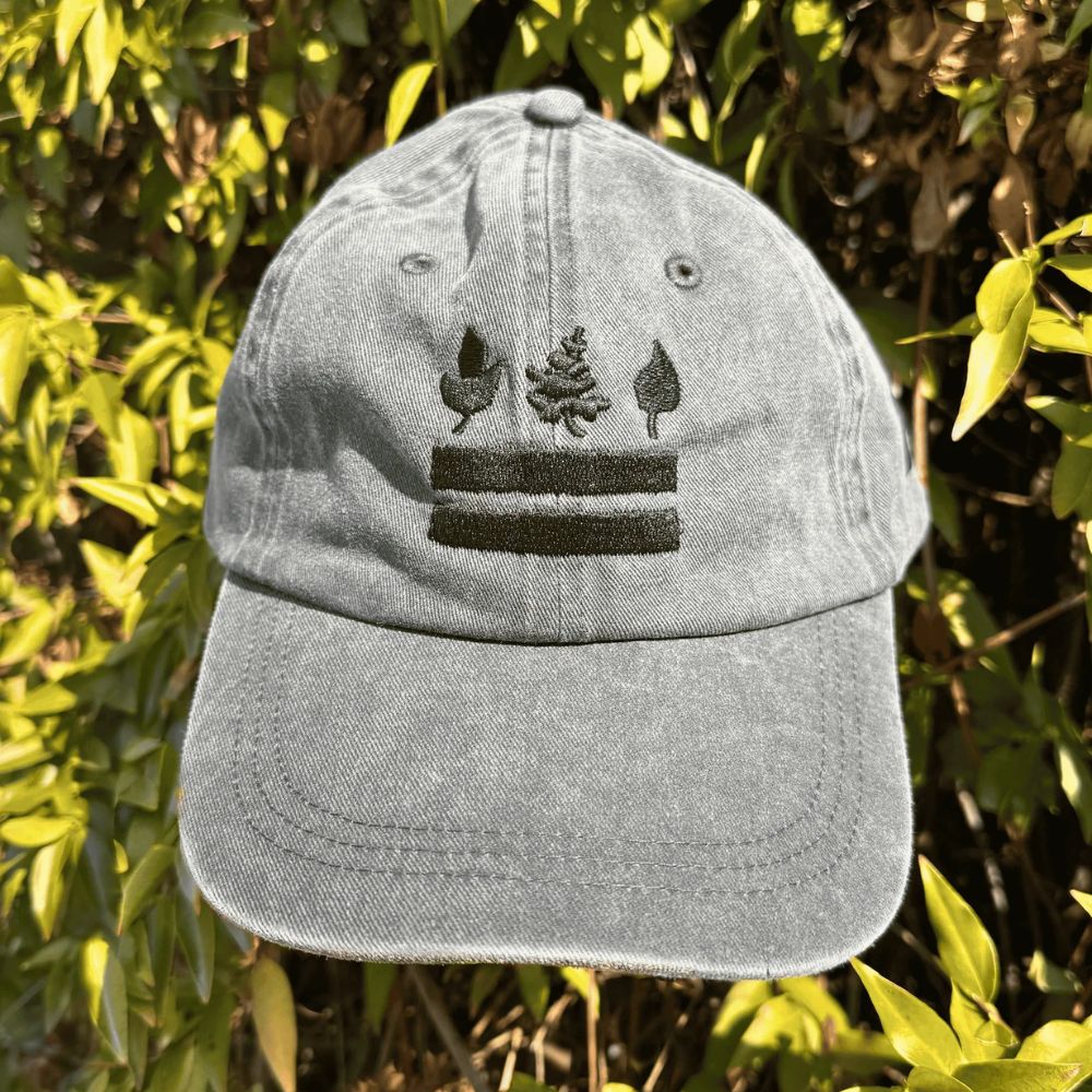 Our take on a DC flag hat