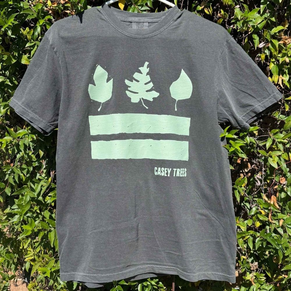 Our take on a DC flag tee