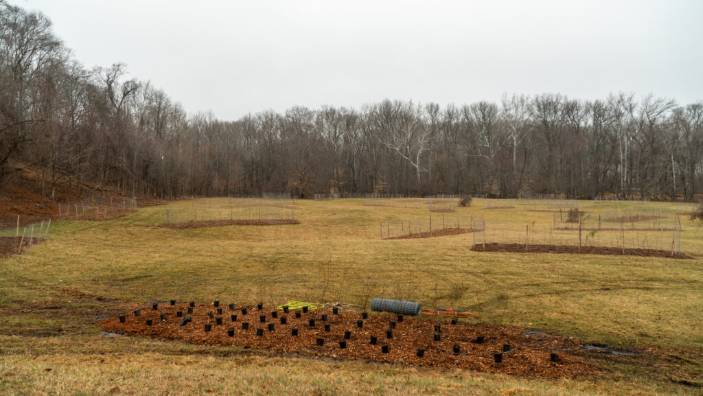 Landscape pic of Lake Arbor planting