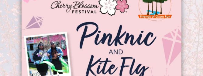Graphic promoting the Oxon Run Park Pinknic and Kite Fly, a part of the National Cherry Blossom Festival.