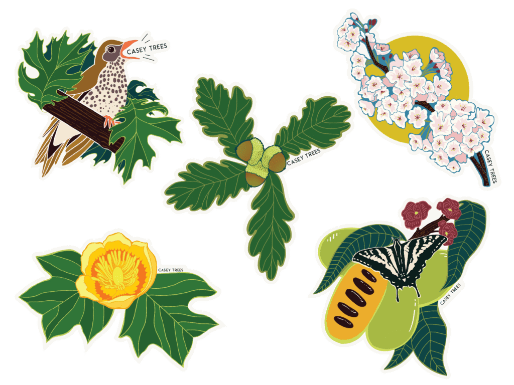 Collage of tree species stickers