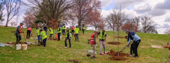 Volunteers at a tree planting.