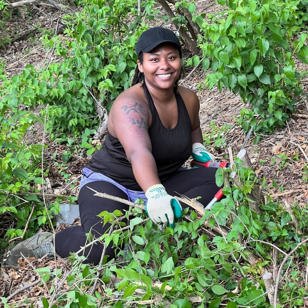A volunteer pulls an invasive plant
