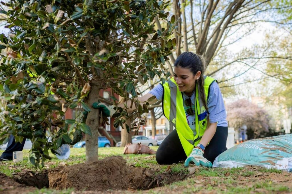 A woman smiles as she helps plant a tree at Lincoln Park.
