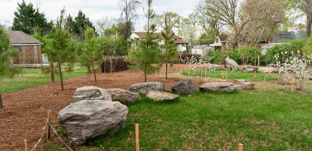 A garden of trees, boulders, and winding paths at Ravenswood.