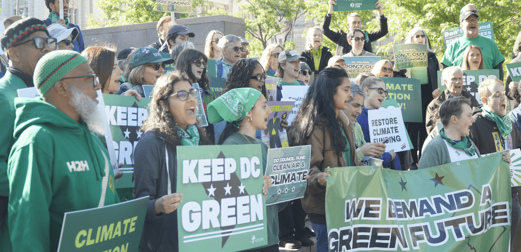 Green Budget Day rally crowd