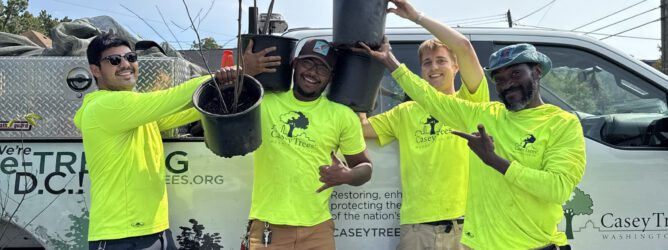 Casey Trees employees pose with giveaway trees.