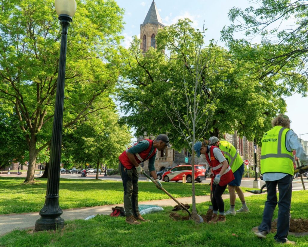 Volunteers plant trees at Stanton Park.