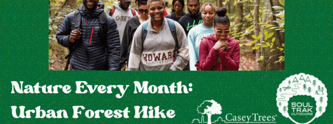 A collage showing a group of people walking through the woods with the title "Nature Every Month: Urban Forest Hike" featuring the Casey Trees and Soul Trak Outdoors logos.