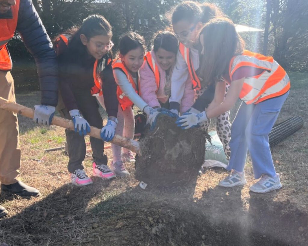 A group of students help push a young tree into the ground.