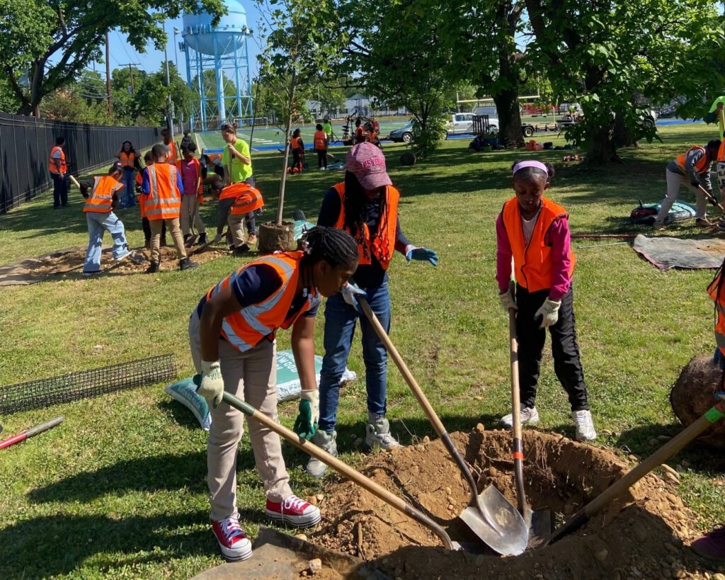 Students digging and planted trees at a School Tree Planting.