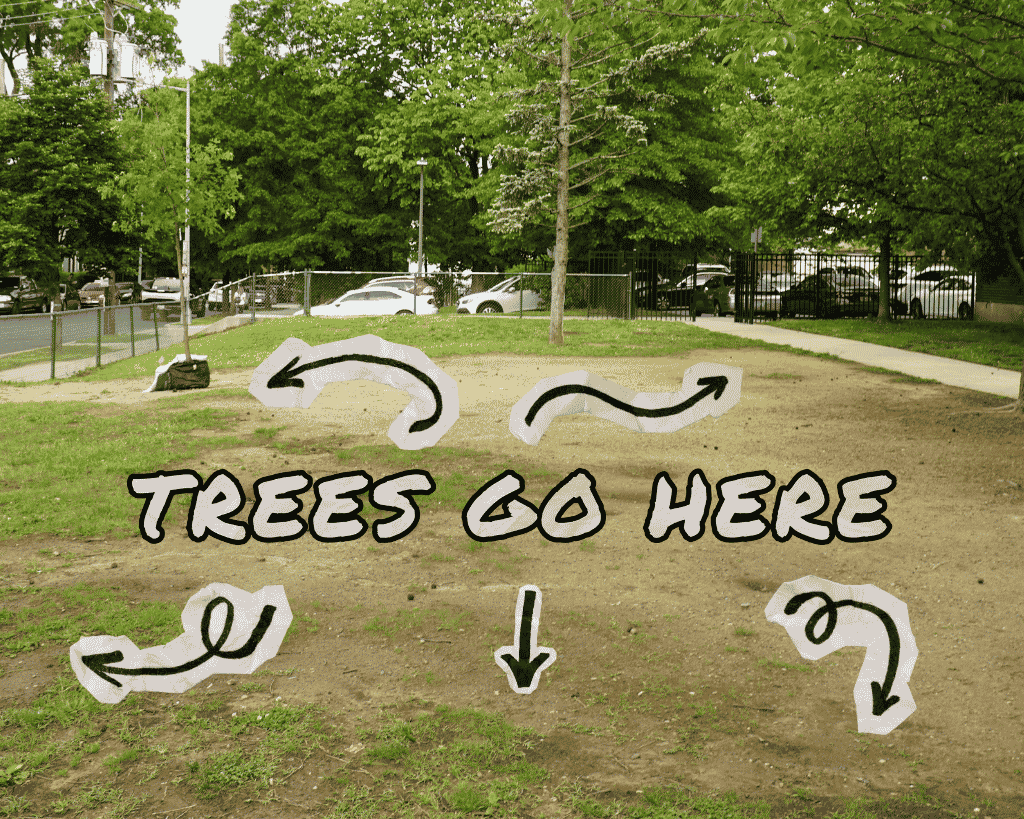 An empty dirt field with text overlayed that says "Trees go here" alongside arrows pointing where trees could go potentially go.
