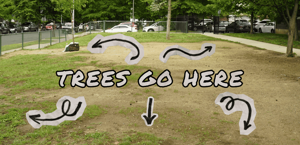 An empty dirt field with text overlayed that says "Trees go here" alongside arrows pointing where trees could go potentially go.