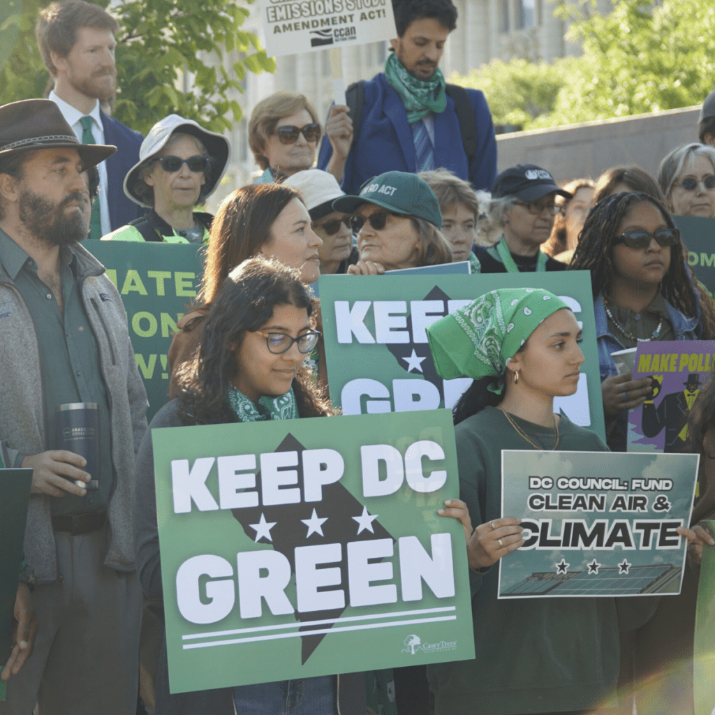 Crowd advocating for green budget day