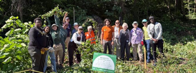 Group of volunteers at a Langdon Park invasive removal.
