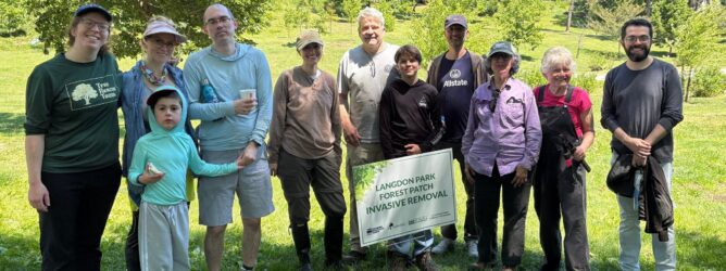 Group of volunteers at a Langdon Park invasive removal.