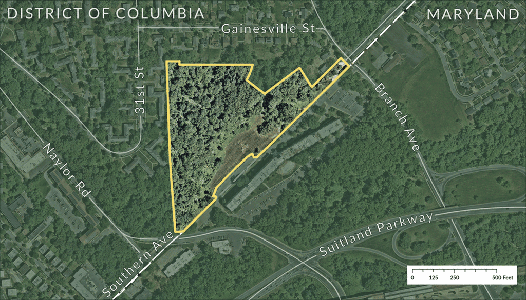 A zoomed-in map showing the boundaries of the forested area.